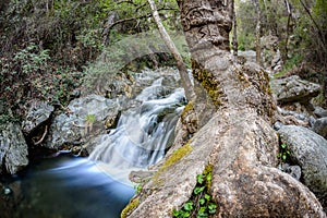 Chantara falls in the troodos mountains 5