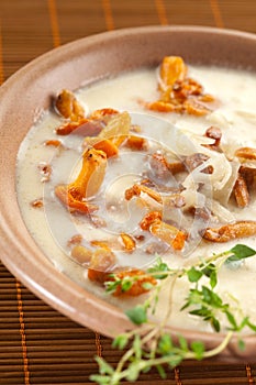 Chantarelle soup