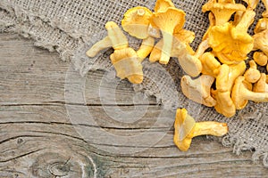 Chantarelles