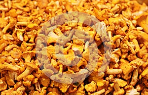 Chanterelle finferli mushrooms sold in the food market