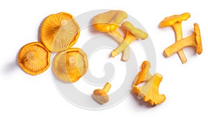 Chanterelles Cantharellus cibarius mushrooms, paths, top view