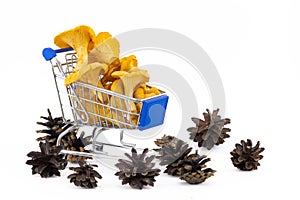 Chanterelles in a shopping cart