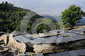 Chao Samartin - Spain