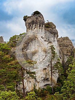 Chaos of Montpellier-le-Vieux in Cevennes National Park, France photo