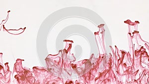 Chaotic movement of drops of pink ink in water. Abstract