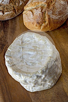 Chaource; French soft cheese and bread rolls