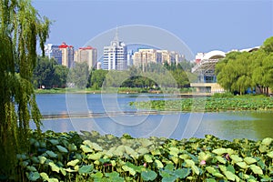 Chaoyang park, Beijing