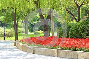 Chaoyang park, Beijing photo