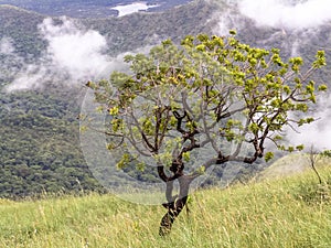 Chapada dos Guimaraes