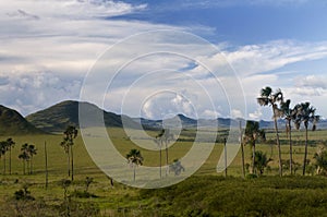 Chapada dos Veadeiros National Park