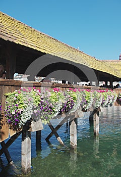 Chapel Bridge. Lucerne, Switzerland