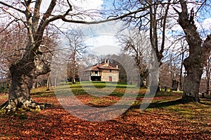 Chapel in forest