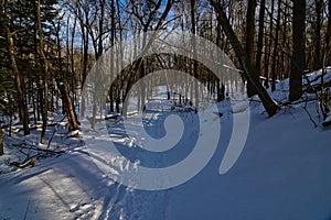 Chapel Gorge Trail in the Wisconsin Dells