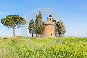 Chapel on a hill with cypress trees at a cornfield