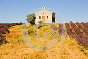 Chapel with lavender field