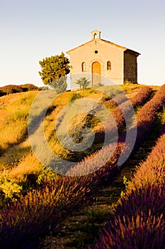 Chapel with lavender field