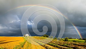 chapel with lavender field and rainbow, Plateau de Valensole, Pr