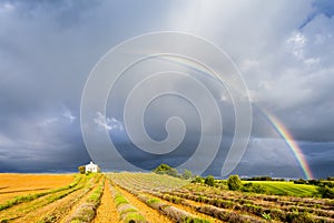 chapel with lavender field and rainbow, Plateau de Valensole, Pr