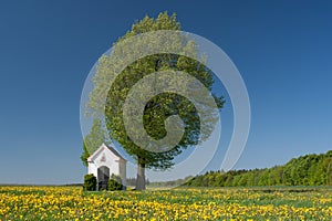 Chapel on a meadow