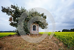 Chapel next to an tree