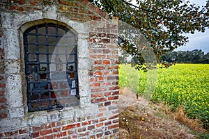 Chapel next to an tree