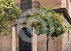 Chapel in the port of Malaga, trees with tangerines, stone building, Spain