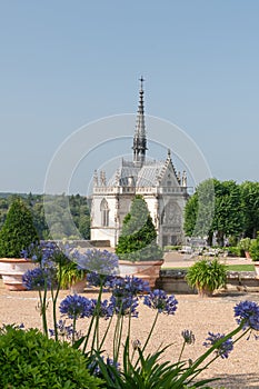 Chapel of Saint Hubert, castle of Amboise, France, burial site Leonardo da Vinci and Agapanthus