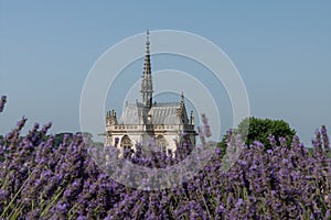 Chapel of Saint Hubert, castle of Amboise, France, burial site Leonardo da Vinci and lavender