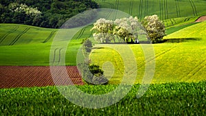 Chapel of St. Barbara in Moravian green fields with trees in the spring time