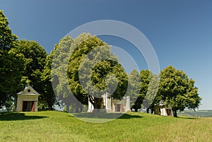 A chapel surrounded by fields and forests, Kalwaria PacÅ‚awska, Poland