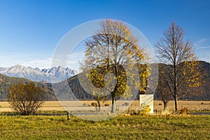 Kaplička se stromem v Nízkých Tatrách s pozadím Vysoké Tatry, Slovensko