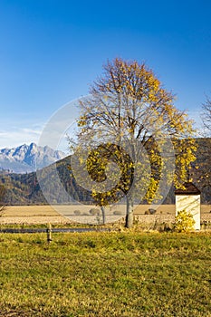 Kaplička se stromem v Nízkých Tatrách s pozadím Vysoké Tatry, Slovensko