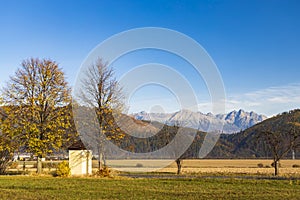 Kaplnka so stromom v Nízkych Tatrách s pozadím Vysoké Tatry, Slovensko