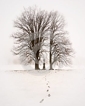 Chapel in Trees