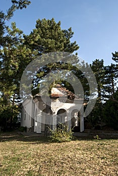 Chapel among trees