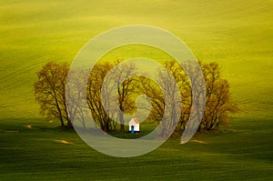 Chapel in trees