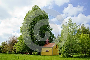 Chapel Under The Big Lime-Tree photo