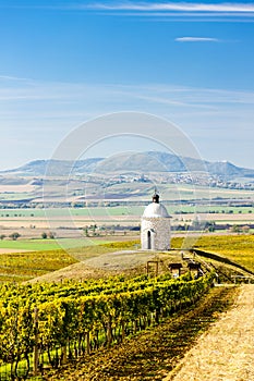 Chapel with vineyard near Velke Bilovice