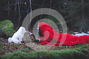 CHAPERON ROUGE CAPE SAMOYED PUPPY