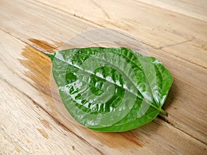 Chaplu leaf