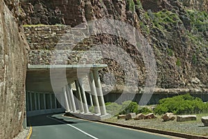 Chapman's Peak Drive. Awesome road to Cape of Good Hope.