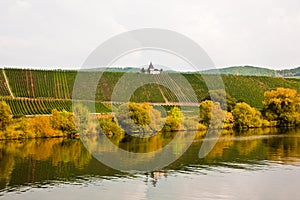 Sul vigneti più vicino sul un fiume 