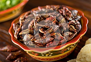 Chapulines Fried Mexican Grasshoppers