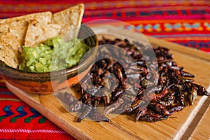 Chapulines, grasshoppers and guacamole snack traditional Mexican cuisine from Oaxaca mexico