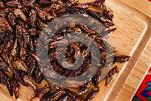 Chapulines, grasshoppers snack traditional Mexican cuisine from Oaxaca mexico