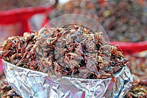 Chapulines, mexican food