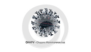 CHAPV - Chapare Mammarenavirus