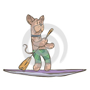 Character animal surfer