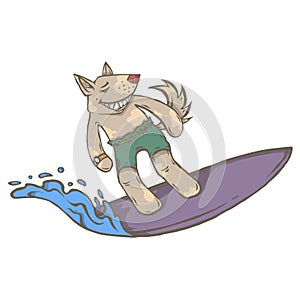 Character animal surfer