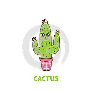 Character cute flowering cactus with a smile and eyes, in a pink pot, on a white background.
